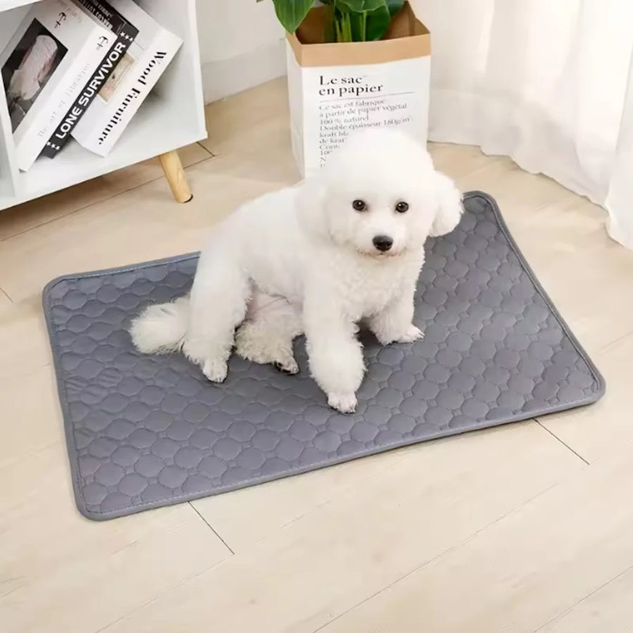 Reusable Pet Training Mat