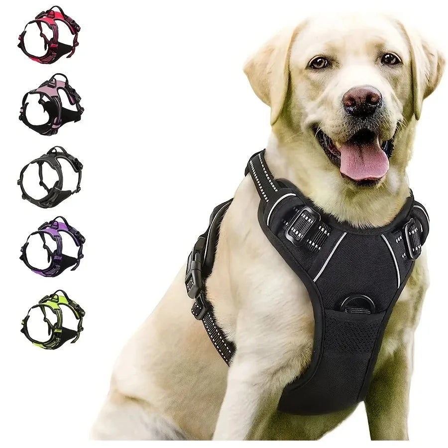 Adjustable Dog Harness and Leash Set