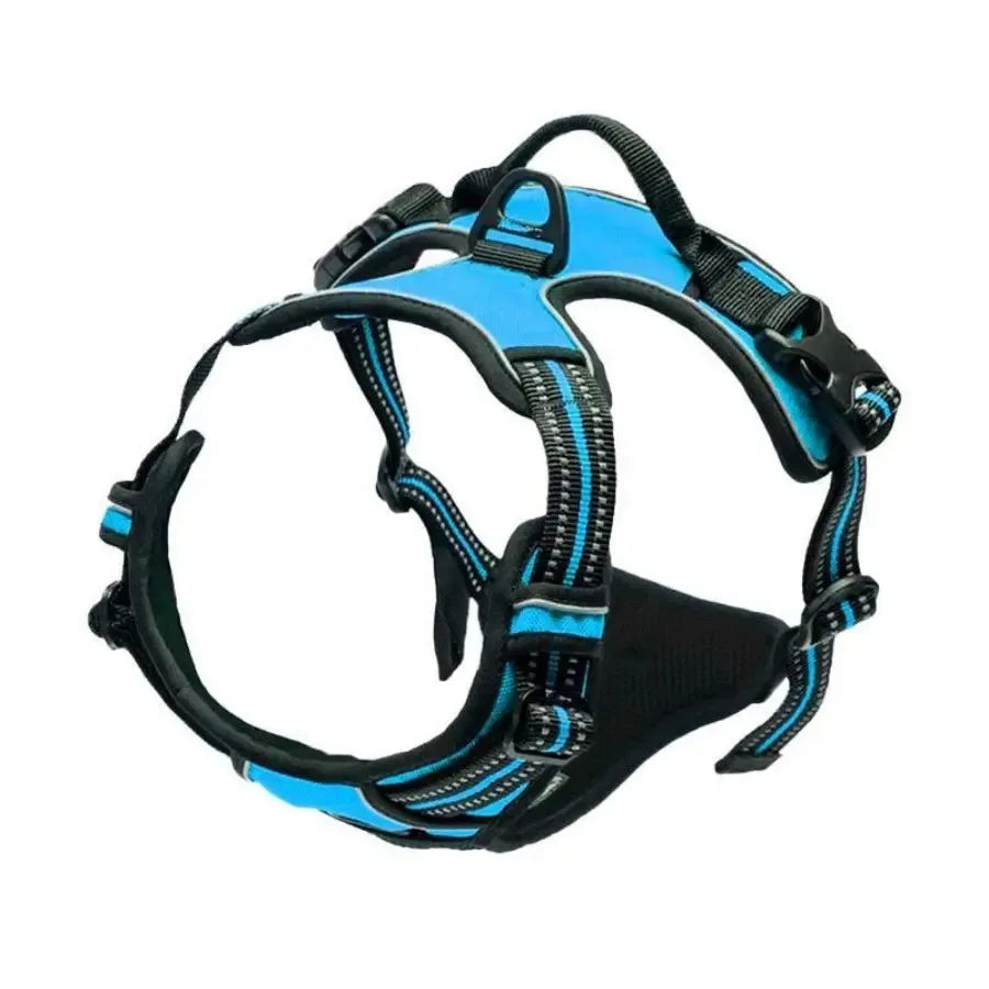 Adjustable Dog Harness and Leash Set