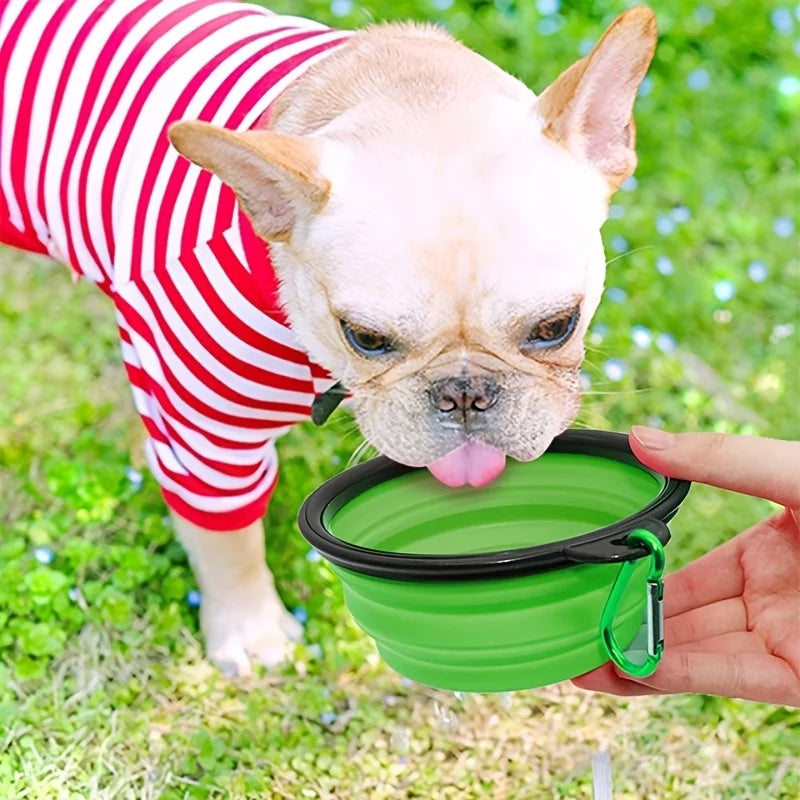 Collapsible Pet Travel Bowl — 350 ml