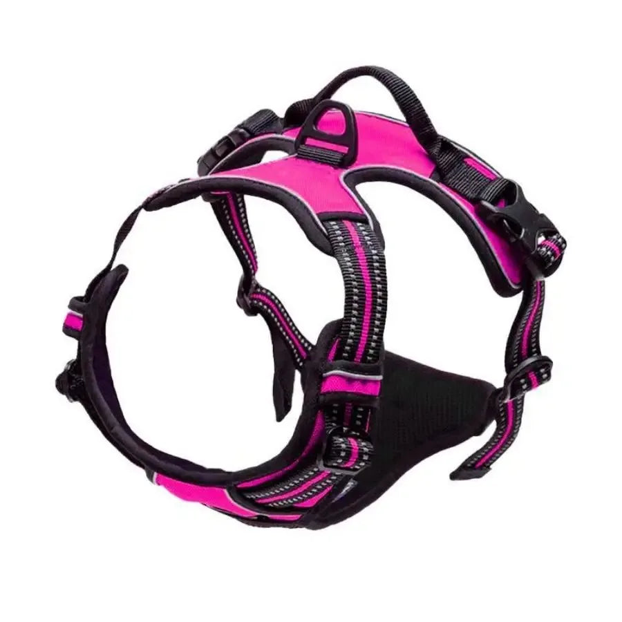 Adjustable Dog Harness and Leash Set