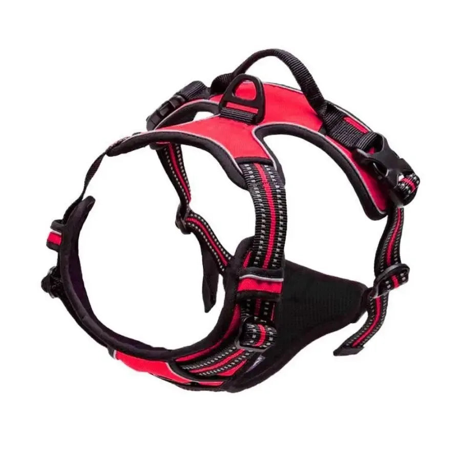 Adjustable Dog Harness and Leash Set