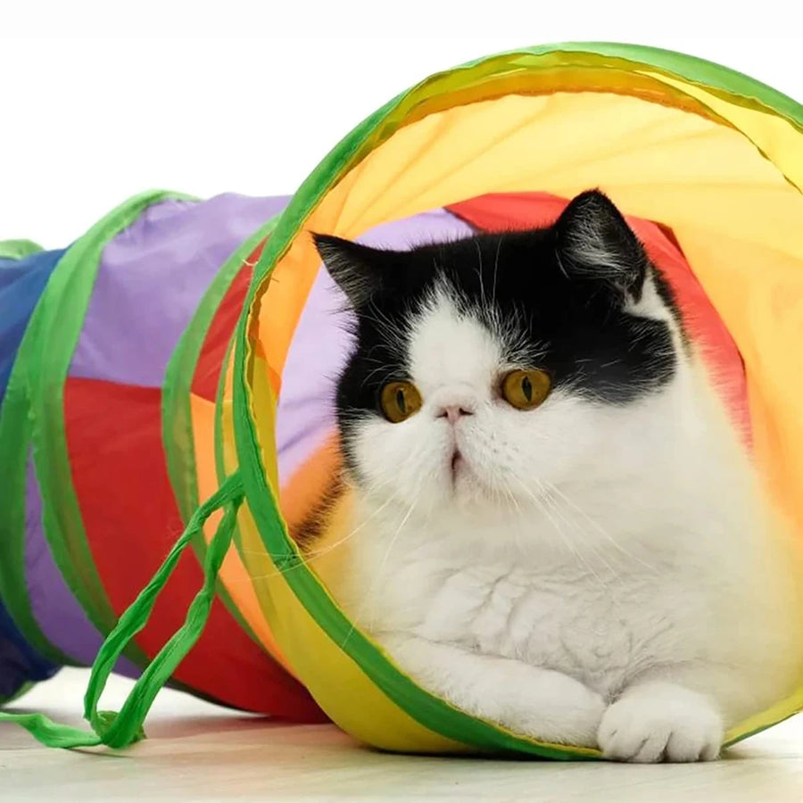 Foldable Cat Play Tunnel
