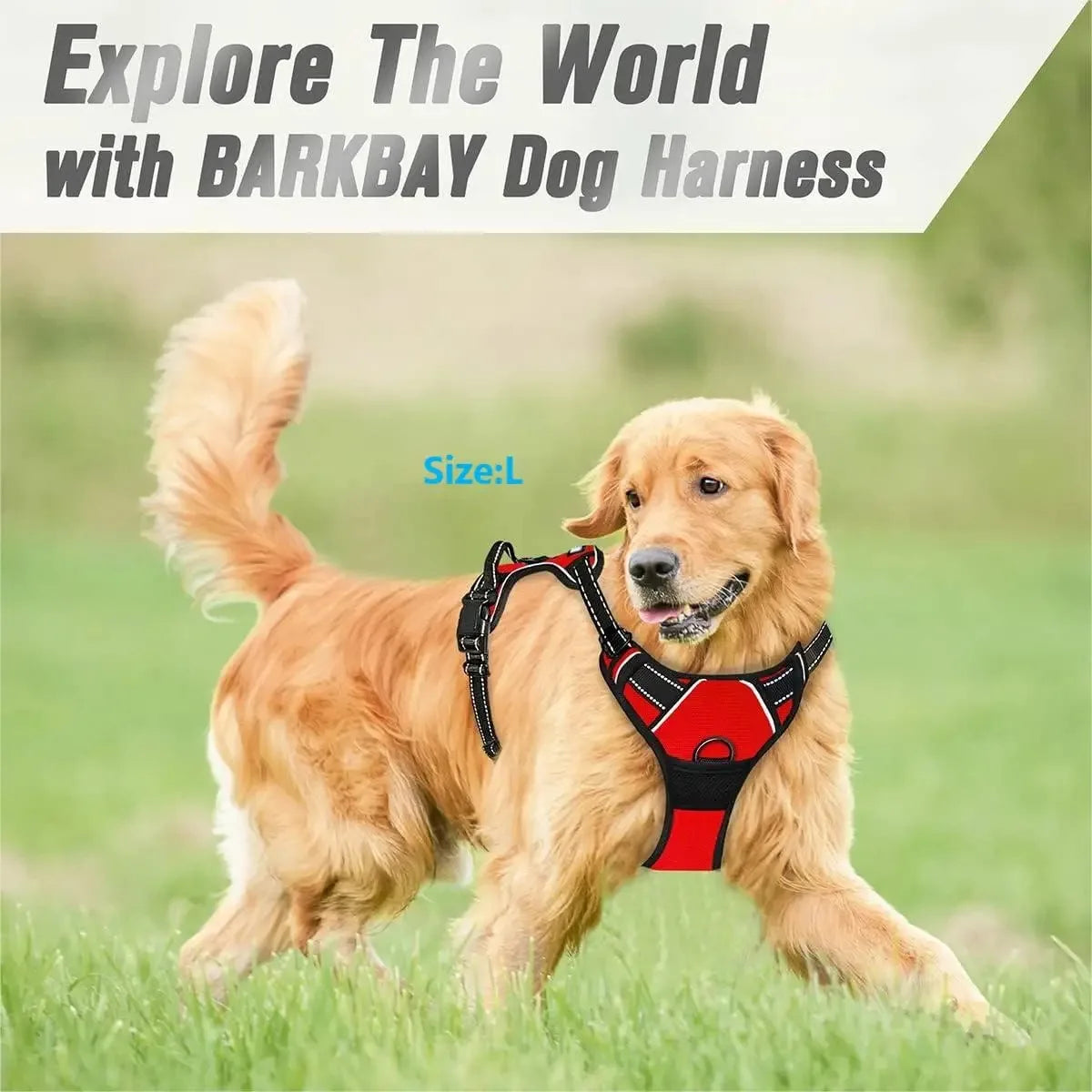 Adjustable Dog Harness and Leash Set