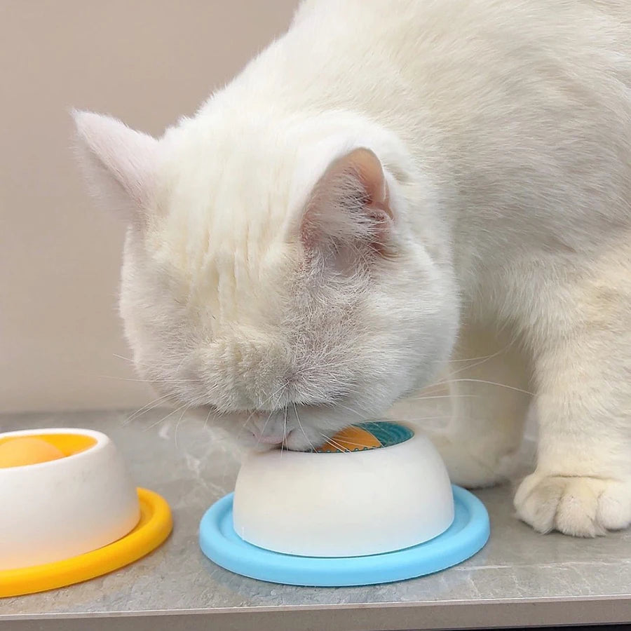 Pet Lick and Slow-Feeding Toy