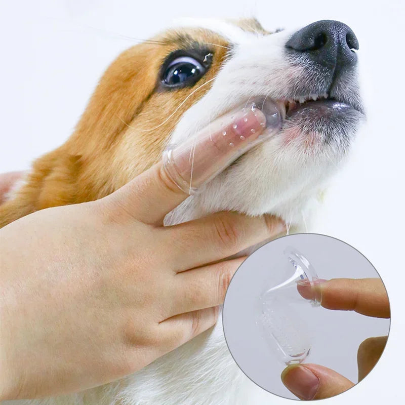Pet Finger Toothbrush — Compliance Review Required