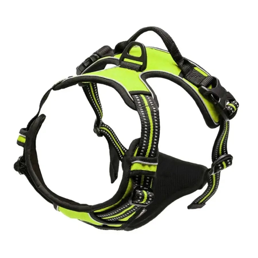 Adjustable Dog Harness and Leash Set