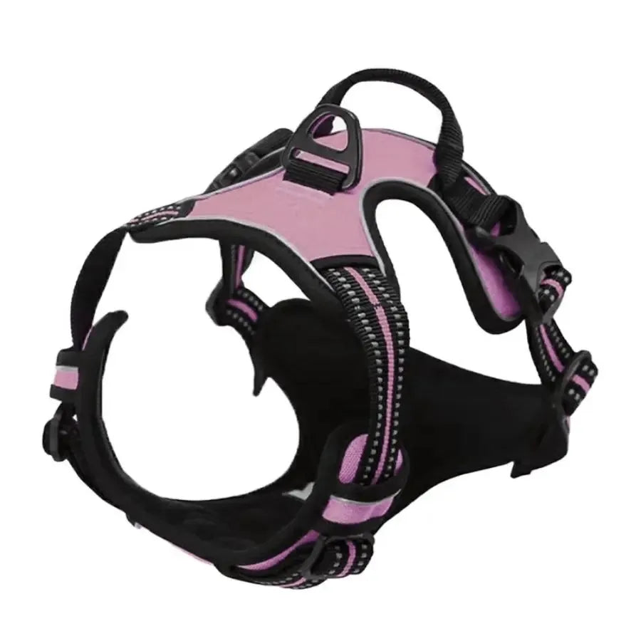 Adjustable Dog Harness and Leash Set