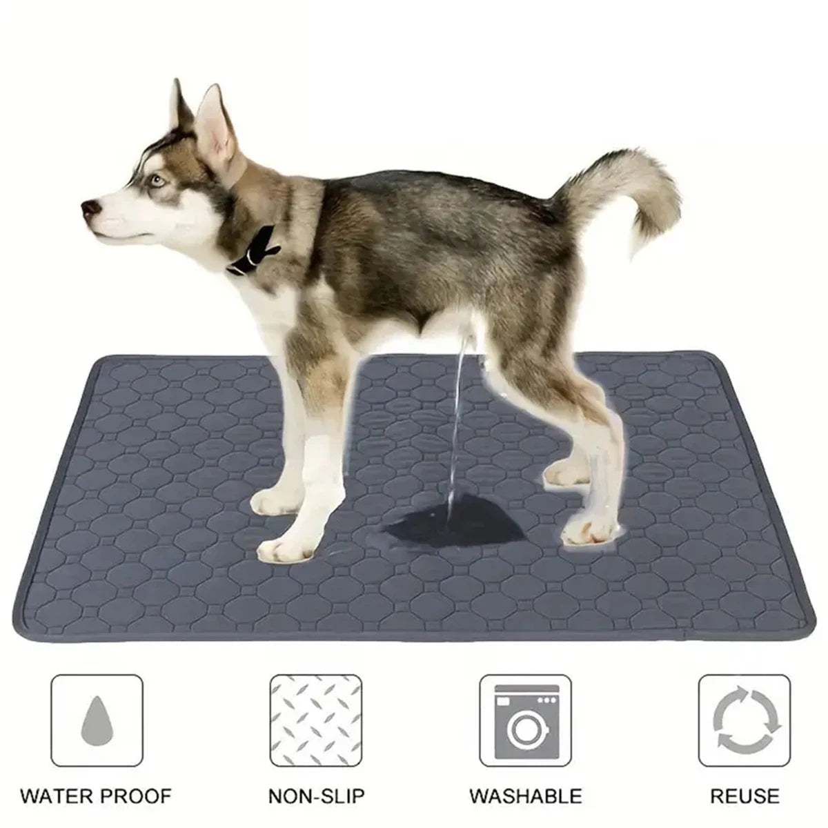 Reusable Pet Training Mat