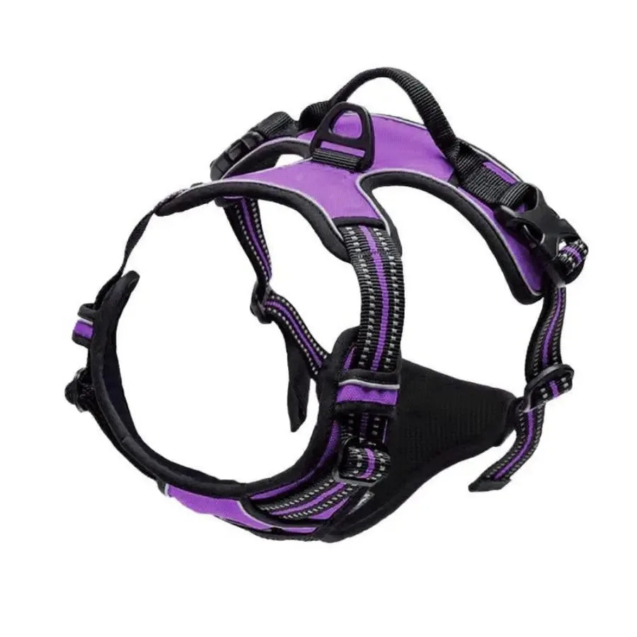 Adjustable Dog Harness and Leash Set