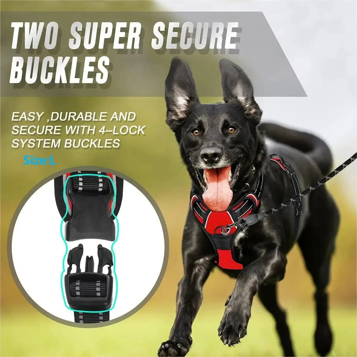 Adjustable Dog Harness and Leash Set