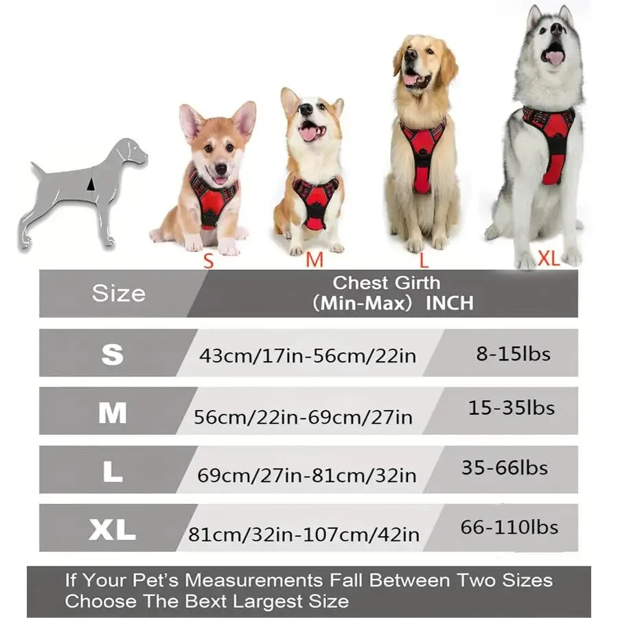 Adjustable Dog Harness and Leash Set