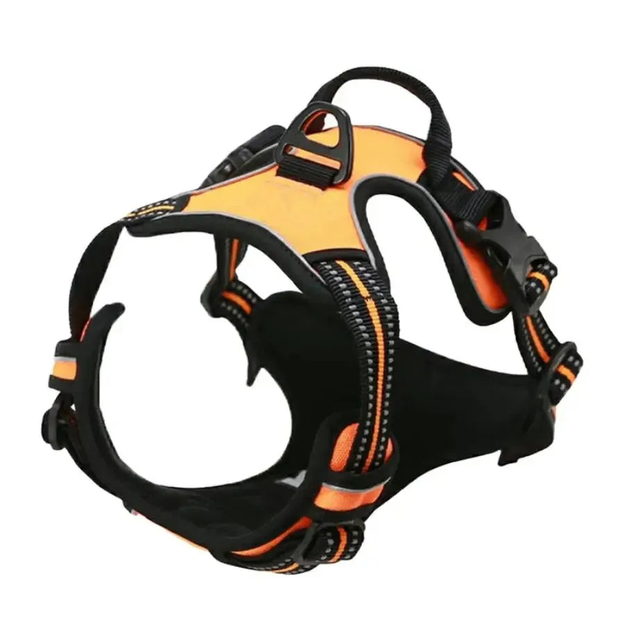 Adjustable Dog Harness and Leash Set