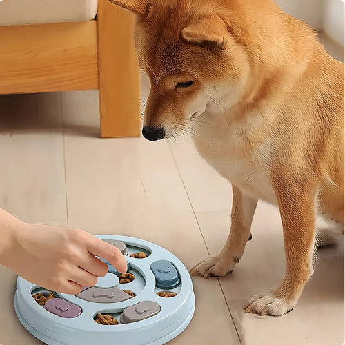 Dog Puzzle Feeder