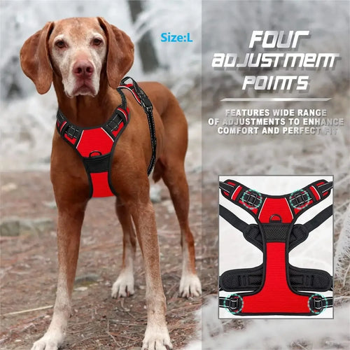 Adjustable Dog Harness and Leash Set
