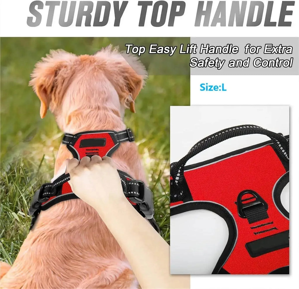 Adjustable Dog Harness and Leash Set