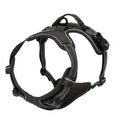 Adjustable Dog Harness and Leash Set