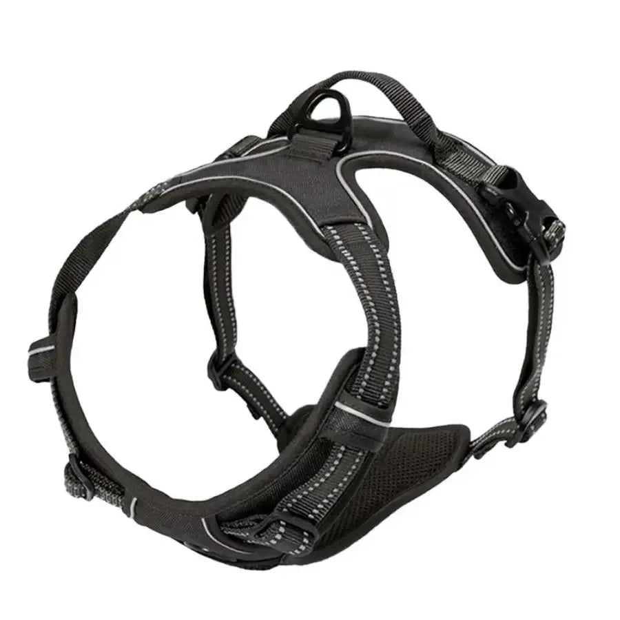 Adjustable Dog Harness and Leash Set